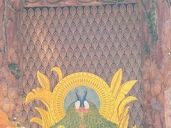 -西双版纳原始森林公园