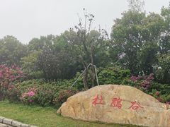 -梧桐山风景名胜区