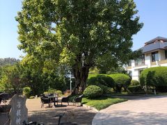 -福建鲤鱼洲酒店