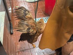 -生态苑农庄(十里画廊遇龙河店)