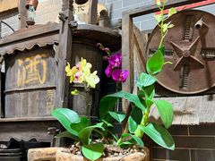 -吴财记面家(大同路店)