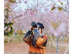 -天适樱花悠乐园