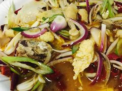 -马黑哥椒麻鸡(清江山水店)