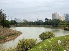 -福田红树林生态公园