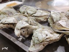 -蚝专家(北滘店)