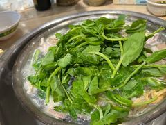 -海关荤豆花(洋河一路店)