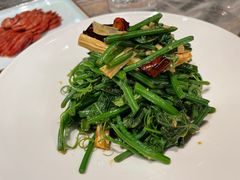 丝瓜尖拌鲜腐竹-渝悦情·新派川菜(建国门店)