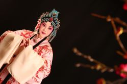 -胭脂猫京剧摄影