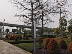 -西堤公园