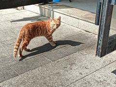 -老五热干面(沿江大道店)