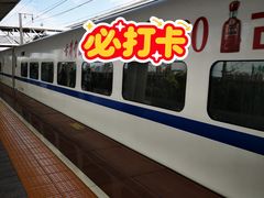 -苏州园区站