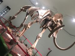 -南通洲际绿博园