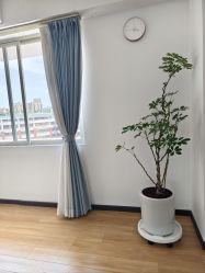 -自在瑜伽·普拉提馆MRBH