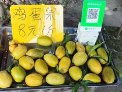 -西双版纳傣族园