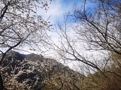 -野三坡百里峡景区