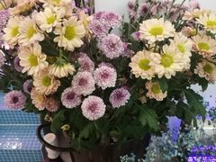 -花沐 FLOWER BATH(凤凰城店)