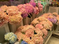 -盒马X会员店(上海森兰商都店)