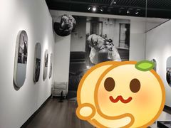 -南京书画院金陵美术馆