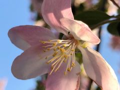 -王天木旧居(潜伏谍报博物馆)