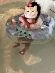 -baby bella小贝拉母婴护理中心(杭州凯宾斯基店)