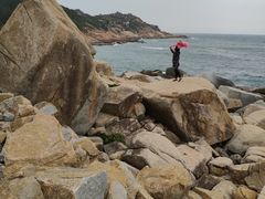 -广东惠东海龟国家级自然保护区