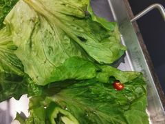 -一米鸡肉创意韩餐(五山店)