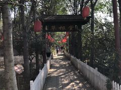 -草根堂农场