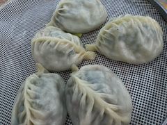 -小叶大馅饺子城