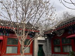 -北京古城老院厉晓麟精致菜