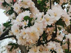 -元大都城垣遗址公园