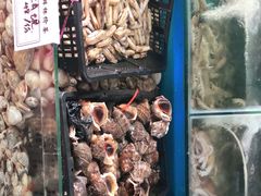 -云南巷海鲜大咖·可加工海鲜