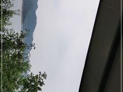 -望湖烤鱼