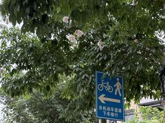 -风云岭森林公园