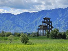-野鸭湖国家湿地公园