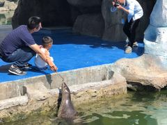 -华夏文旅海洋公园