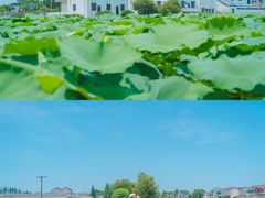 -苏州吴中太湖旅游区