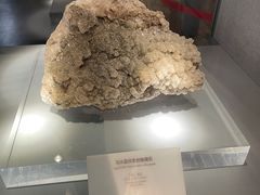 -长江文明馆