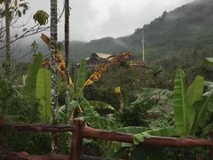 -海南槟榔谷黎苗文化旅游区