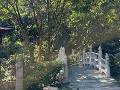 -深圳国际园林花卉博览园