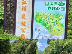 -广州白江湖森林公园