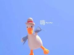 -金银湖市民文体活动中心恒温游泳馆