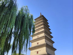 -吴桥杂技大世界