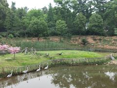 -无锡动物园·太湖欢乐园