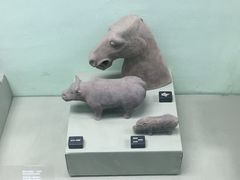 -古陶文明博物馆