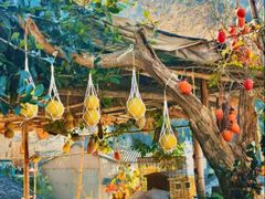 -杨家堂村