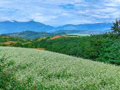 -红土地风景区