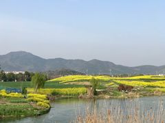 -苏州太湖国际会议中心