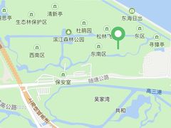 -上海滨江森林公园