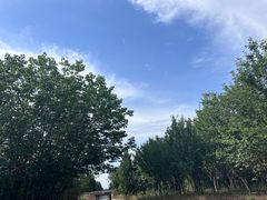 -汉景帝阳陵博物院