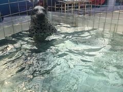 -天鹅湖生态旅游风景区